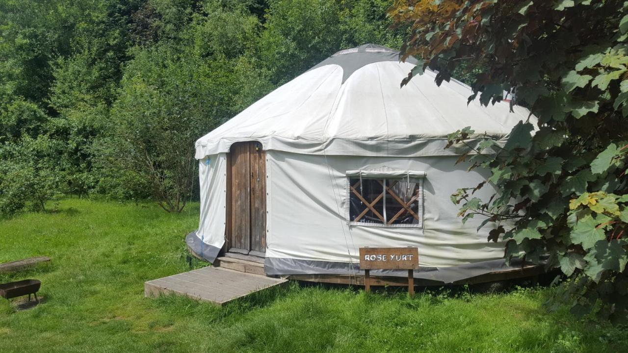 South Downs Eco Lodge & Camping East Meon ภายนอก รูปภาพ