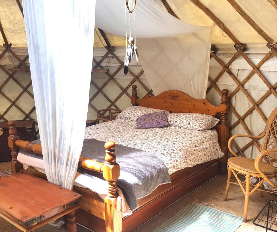 South Downs Eco Lodge & Camping East Meon ภายนอก รูปภาพ