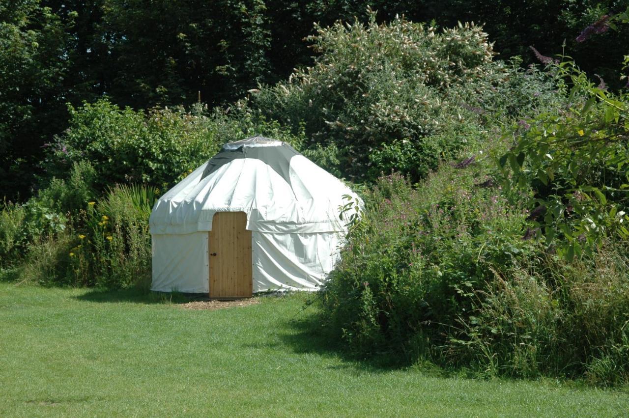 South Downs Eco Lodge & Camping East Meon ภายนอก รูปภาพ