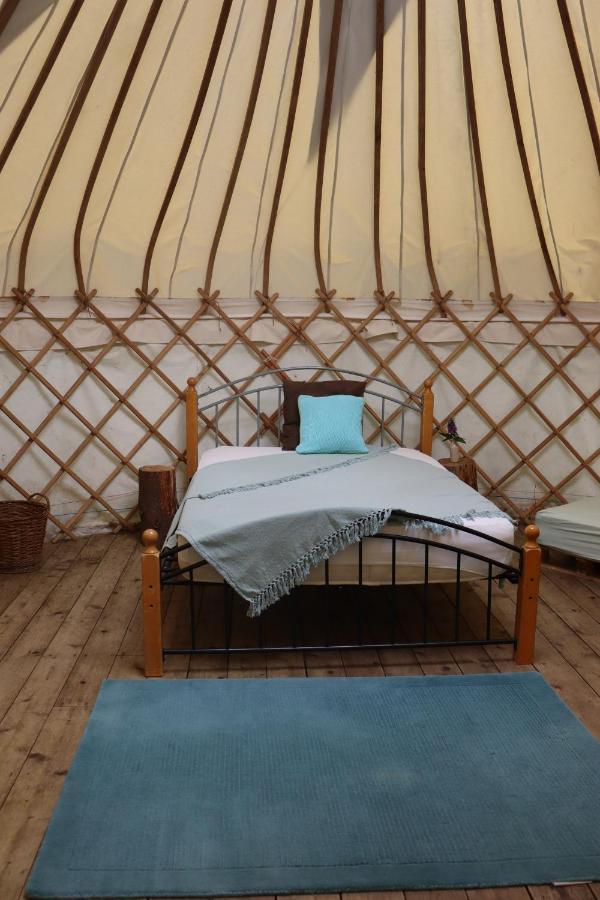 South Downs Eco Lodge & Camping East Meon ภายนอก รูปภาพ
