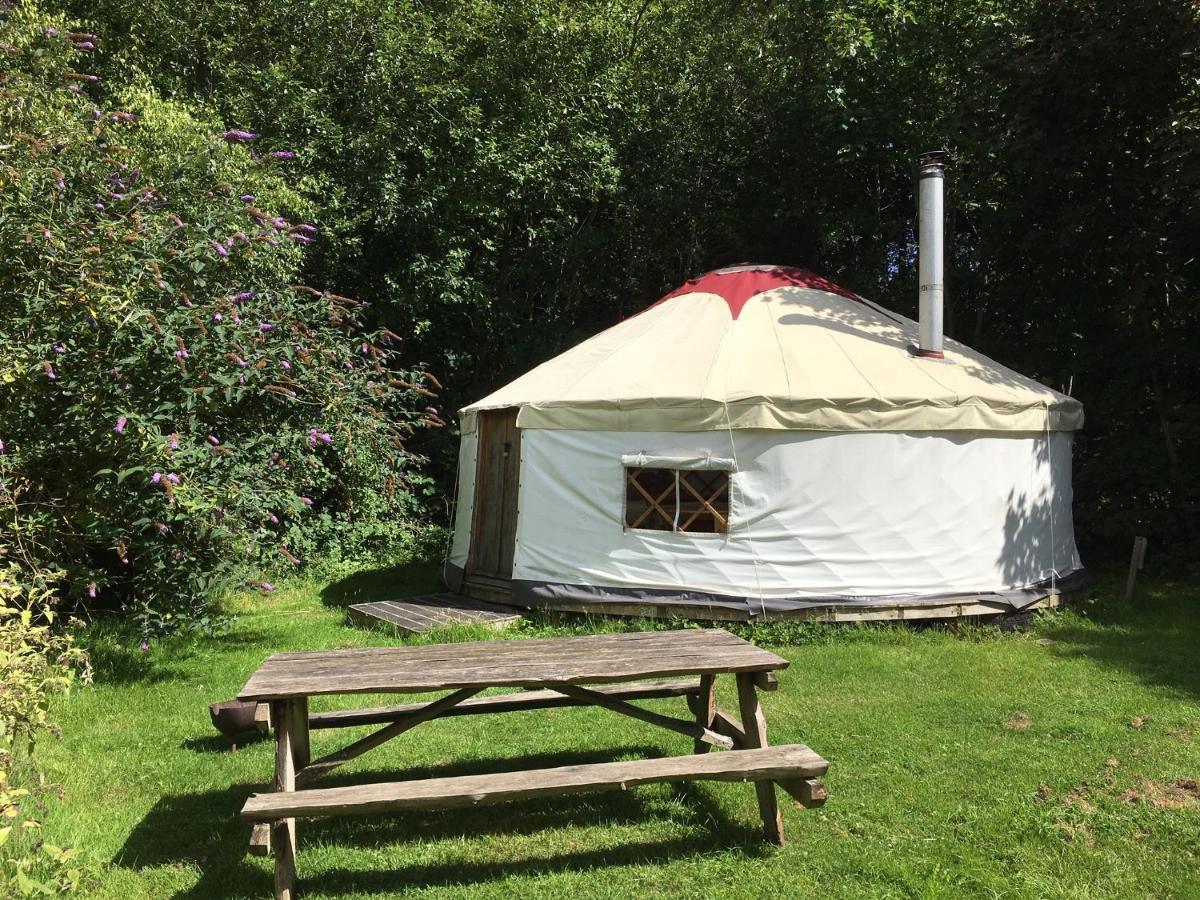 South Downs Eco Lodge & Camping East Meon ภายนอก รูปภาพ