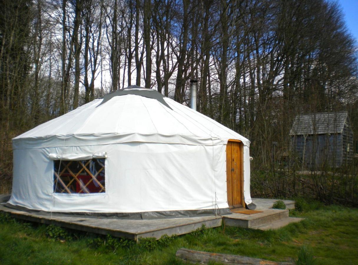 South Downs Eco Lodge & Camping East Meon ภายนอก รูปภาพ