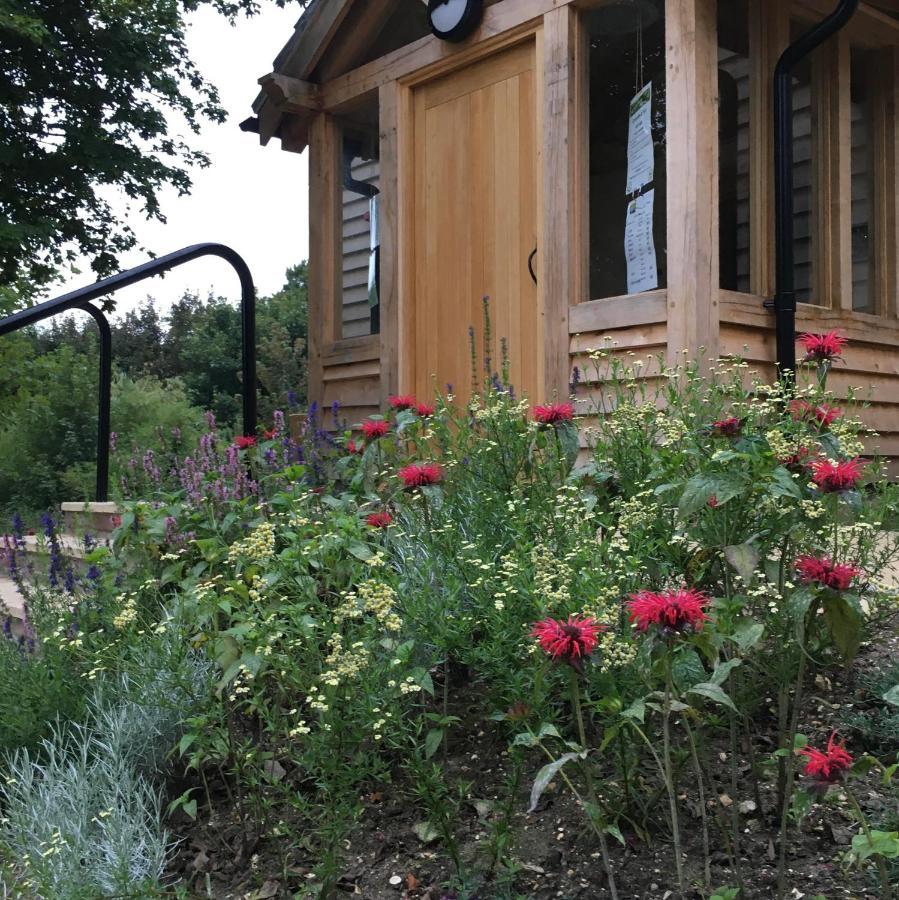 South Downs Eco Lodge & Camping East Meon ภายนอก รูปภาพ