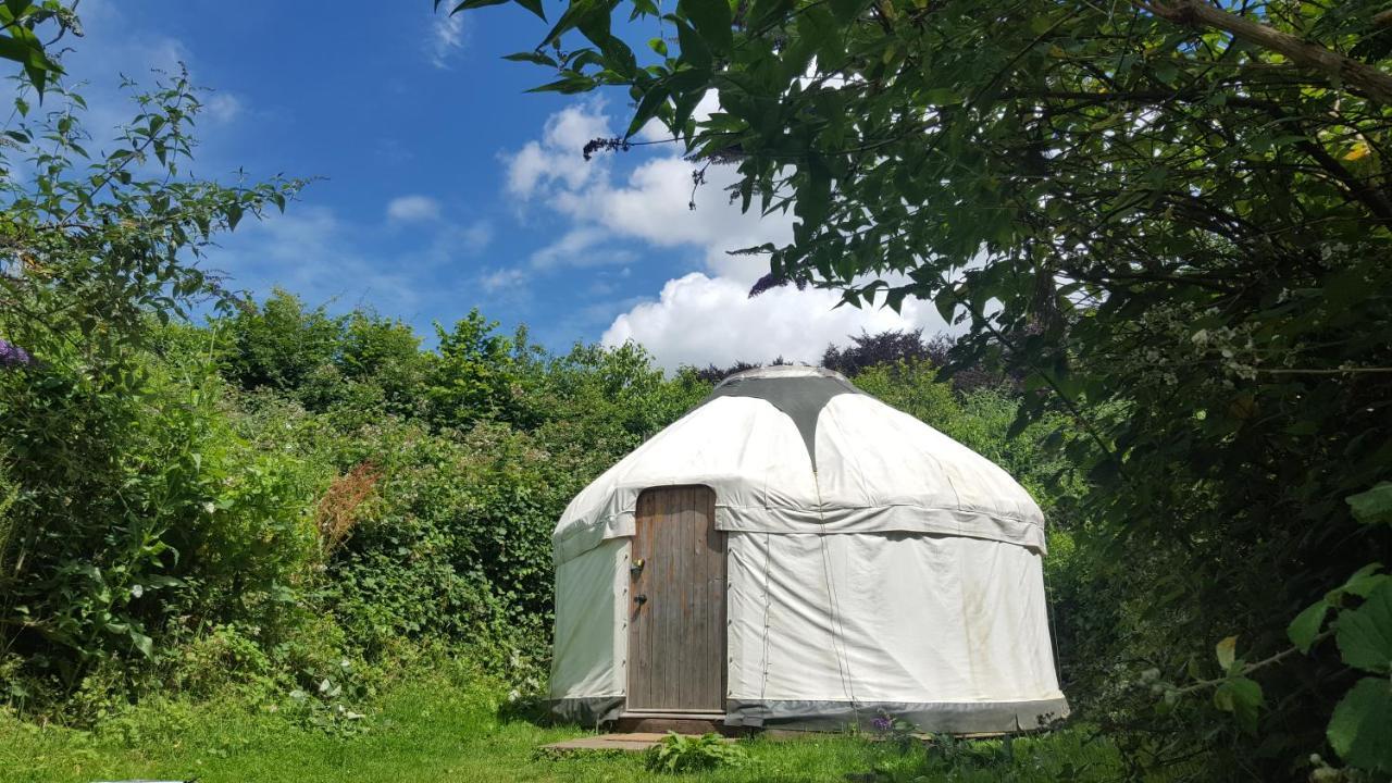 South Downs Eco Lodge & Camping East Meon ภายนอก รูปภาพ