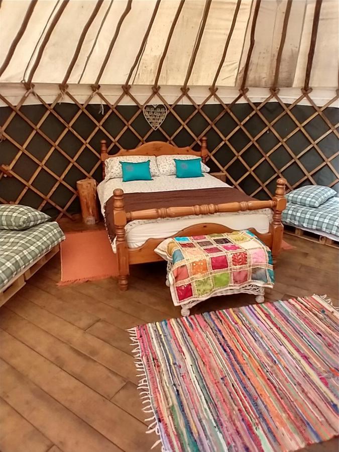 South Downs Eco Lodge & Camping East Meon ภายนอก รูปภาพ